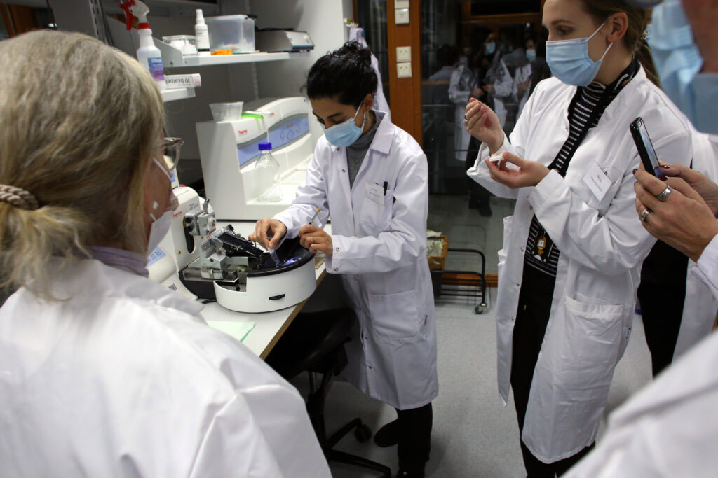 Ceren and Nora demonstrated how to cut tissue blocks for histological staining.